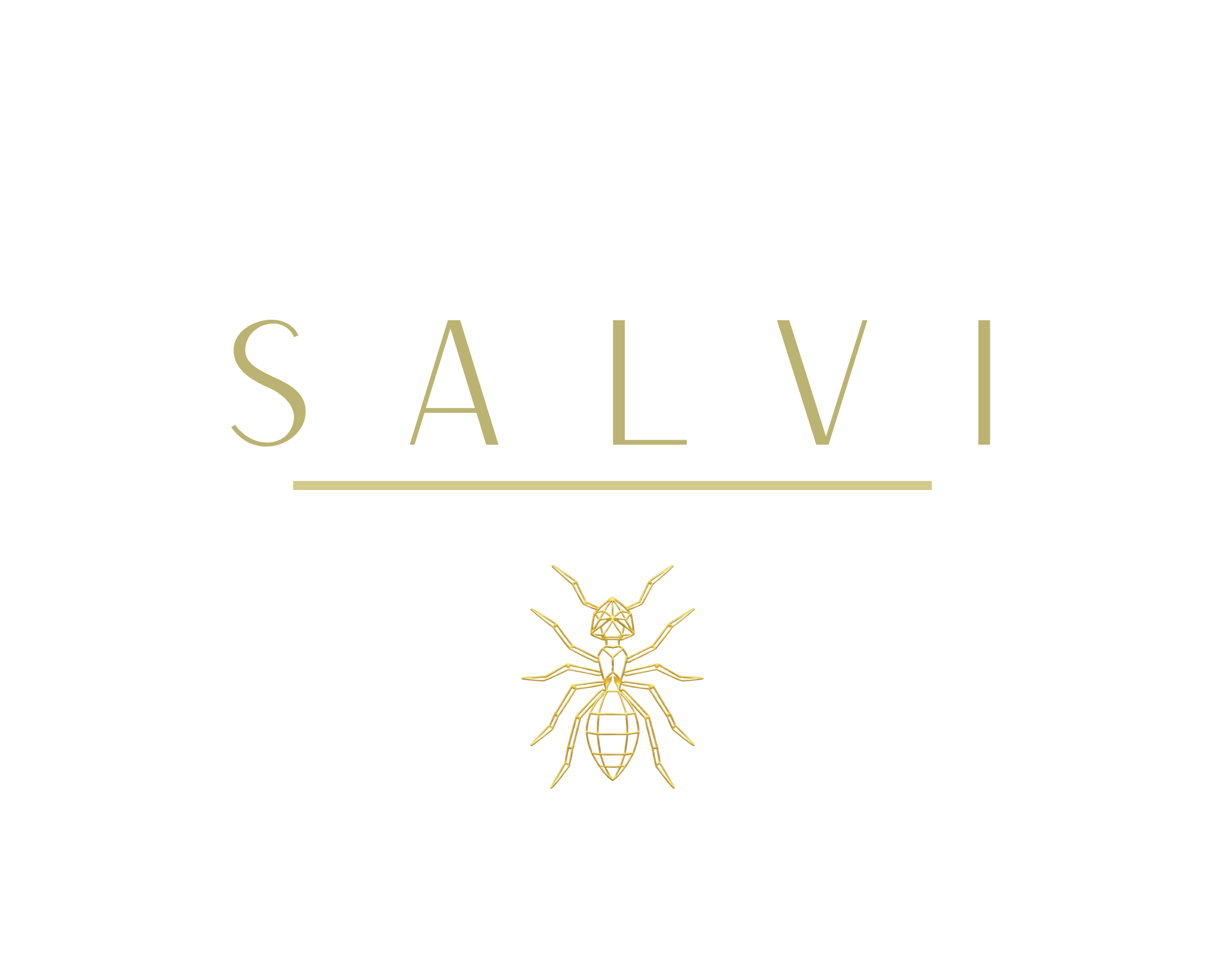 SALVI — Jóias Artesanais